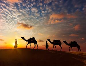 Jodhpur → Jaisalmer (Approx. 285 KM / 5 Hours)