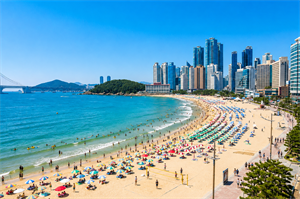 Busan (Full Day)