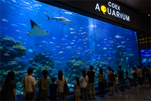 Seoul - Gangnam  (Full day)  