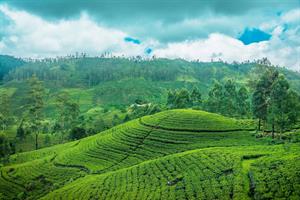 Jorhat – Meleng Tea Estate – Sivsagar – Dibrugarh 