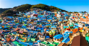 Busan (Full Day)